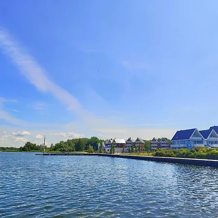 Seeschwalbe 50